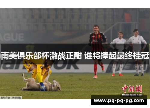 南美俱乐部杯激战正酣 谁将捧起最终桂冠 南美俱乐部杯激战正酣 谁将捧起最终桂冠