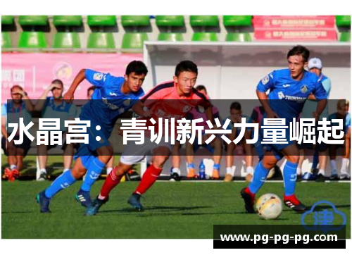 水晶宫：青训新兴力量崛起