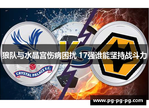 狼队与水晶宫伤病困扰 17强谁能坚持战斗力